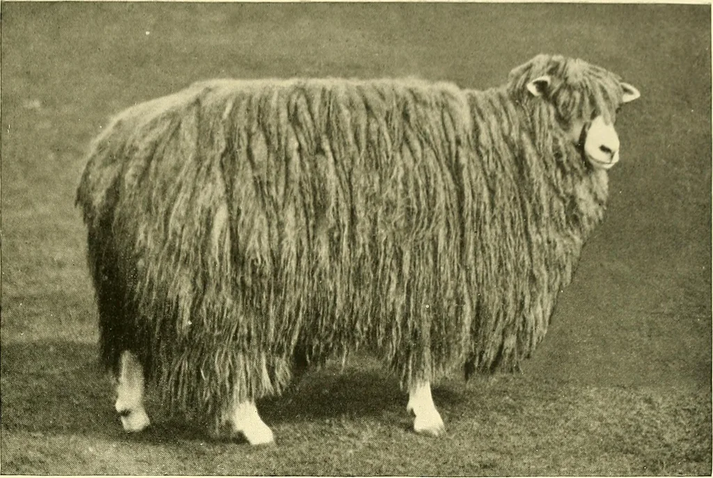 An illustration from The textile industries : a practical guide to fibres, yarns & fabrics in every branch of textile manufacture, including preparation of fibres, spinning, doubling, designing, weaving, bleaching, printing, dyeing and finishing, 1910, leaf 198