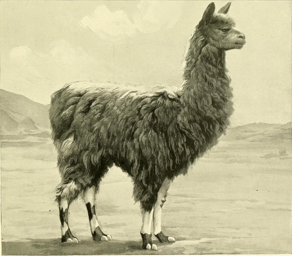 An illustration from The textile industries : a practical guide to fibres, yarns & fabrics in every branch of textile manufacture, including preparation of fibres, spinning, doubling, designing, weaving, bleaching, printing, dyeing and finishing, 1910, leaf 76