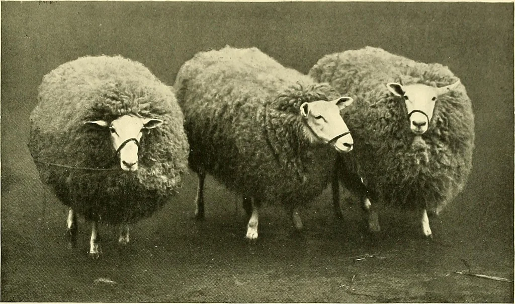 An illustration from The textile industries : a practical guide to fibres, yarns & fabrics in every branch of textile manufacture, including preparation of fibres, spinning, doubling, designing, weaving, bleaching, printing, dyeing and finishing, 1910, leaf 88