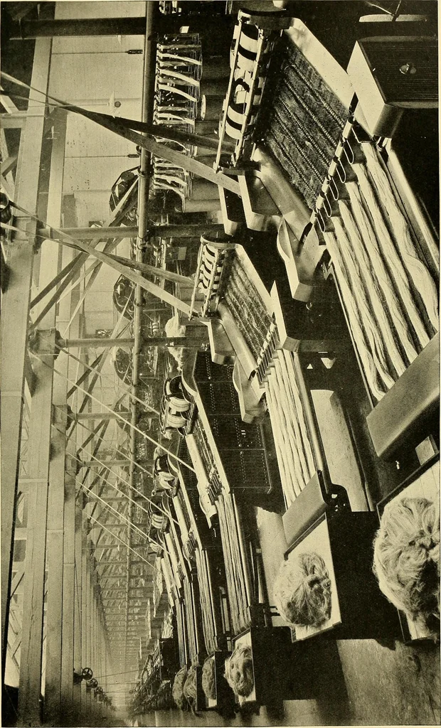 An illustration from The textile industries : a practical guide to fibres, yarns & fabrics in every branch of textile manufacture, including preparation of fibres, spinning, doubling, designing, weaving, bleaching, printing, dyeing and finishing, 1910, leaf 206