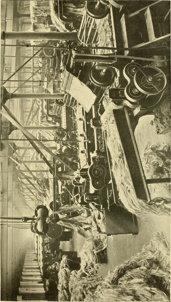 An illustration from The textile industries : a practical guide to fibres, yarns & fabrics in every branch of textile manufacture, including preparation of fibres, spinning, doubling, designing, weaving, bleaching, printing, dyeing and finishing, 1910, leaf 216