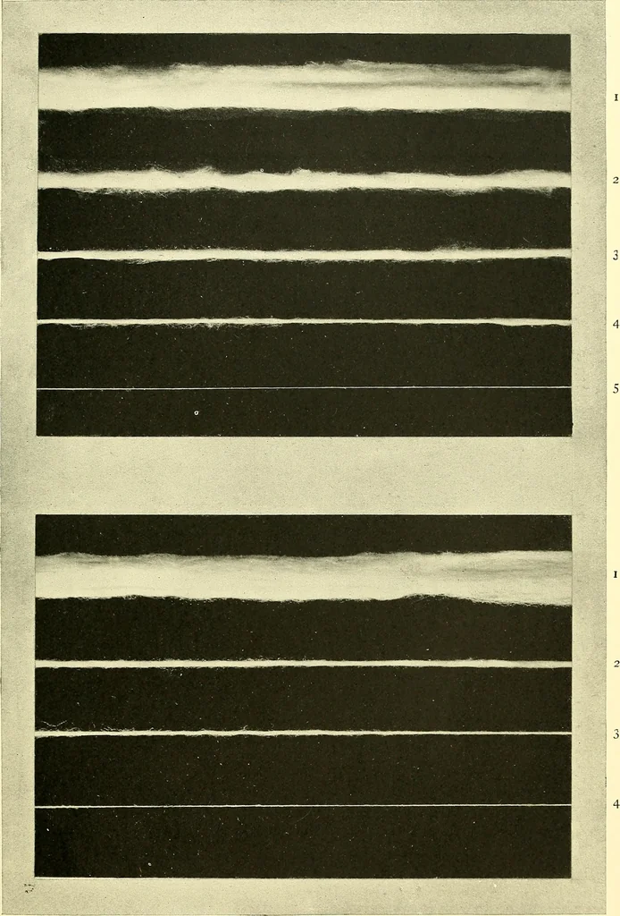 An illustration from The textile industries : a practical guide to fibres, yarns & fabrics in every branch of textile manufacture, including preparation of fibres, spinning, doubling, designing, weaving, bleaching, printing, dyeing and finishing, 1910, leaf 112