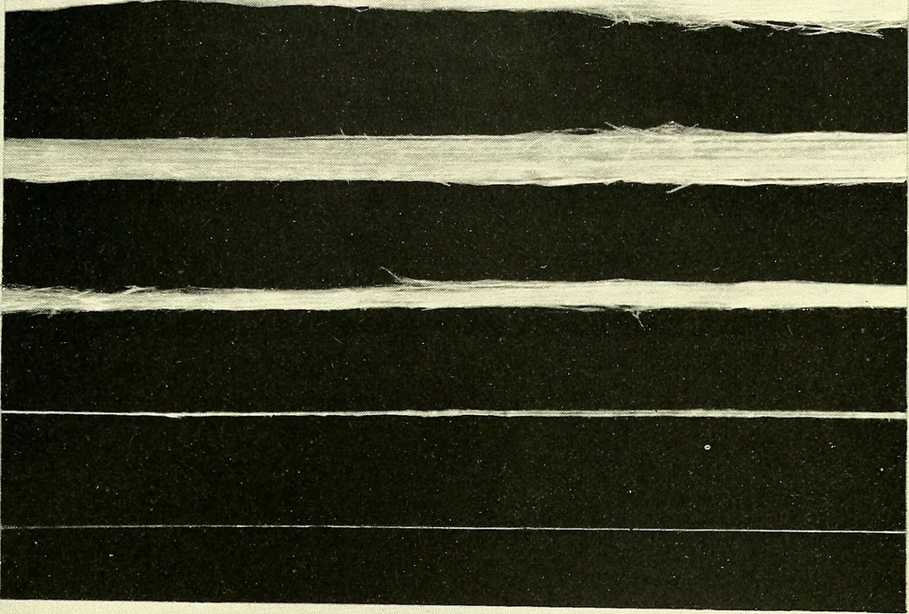 An illustration from The textile industries : a practical guide to fibres, yarns & fabrics in every branch of textile manufacture, including preparation of fibres, spinning, doubling, designing, weaving, bleaching, printing, dyeing and finishing, 1910, leaf 118