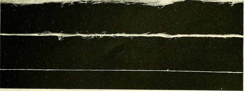 An illustration from The textile industries : a practical guide to fibres, yarns & fabrics in every branch of textile manufacture, including preparation of fibres, spinning, doubling, designing, weaving, bleaching, printing, dyeing and finishing, 1910, leaf 118