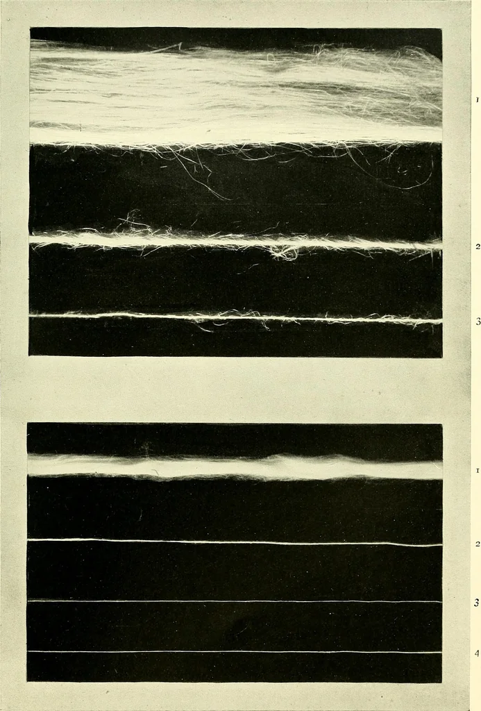 An illustration from The textile industries : a practical guide to fibres, yarns & fabrics in every branch of textile manufacture, including preparation of fibres, spinning, doubling, designing, weaving, bleaching, printing, dyeing and finishing, 1910, leaf 124
