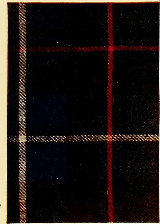 An illustration from The textile industries : a practical guide to fibres, yarns & fabrics in every branch of textile manufacture, including preparation of fibres, spinning, doubling, designing, weaving, bleaching, printing, dyeing and finishing, 1910, leaf 174