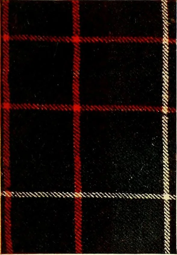 An illustration from The textile industries : a practical guide to fibres, yarns & fabrics in every branch of textile manufacture, including preparation of fibres, spinning, doubling, designing, weaving, bleaching, printing, dyeing and finishing, 1910, leaf 174