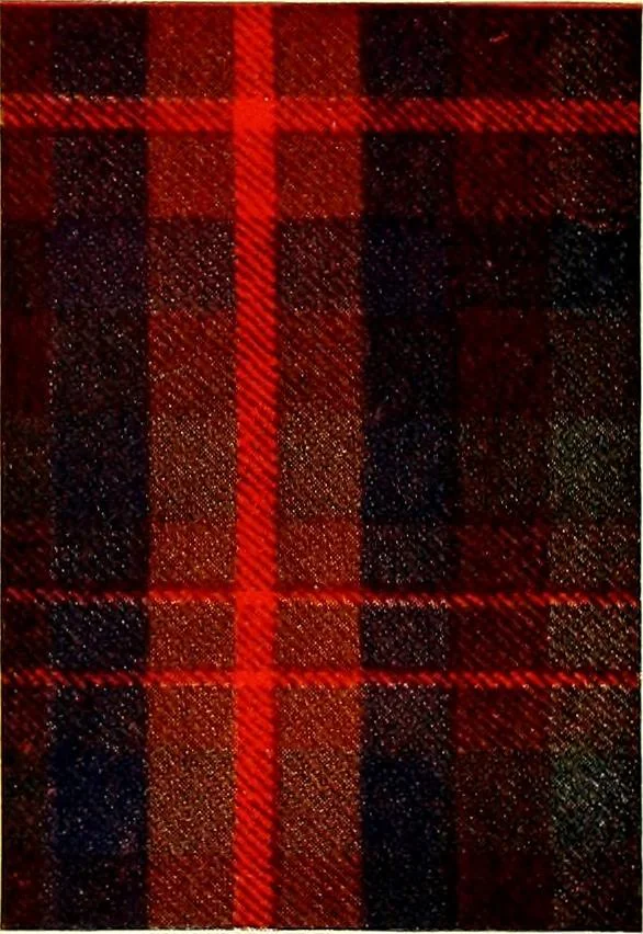 An illustration from The textile industries : a practical guide to fibres, yarns & fabrics in every branch of textile manufacture, including preparation of fibres, spinning, doubling, designing, weaving, bleaching, printing, dyeing and finishing, 1910, leaf 174