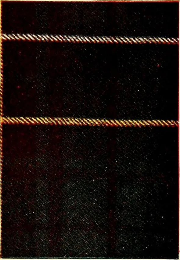 An illustration from The textile industries : a practical guide to fibres, yarns & fabrics in every branch of textile manufacture, including preparation of fibres, spinning, doubling, designing, weaving, bleaching, printing, dyeing and finishing, 1910, leaf 174