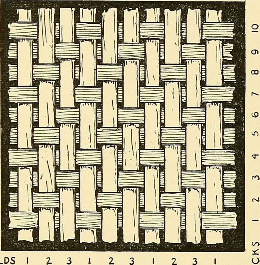 An illustration from The textile industries : a practical guide to fibres, yarns & fabrics in every branch of textile manufacture, including preparation of fibres, spinning, doubling, designing, weaving, bleaching, printing, dyeing and finishing, 1910, leaf 178