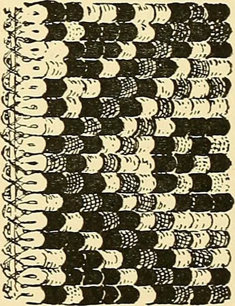 An illustration from The textile industries : a practical guide to fibres, yarns & fabrics in every branch of textile manufacture, including preparation of fibres, spinning, doubling, designing, weaving, bleaching, printing, dyeing and finishing, 1910, leaf 208