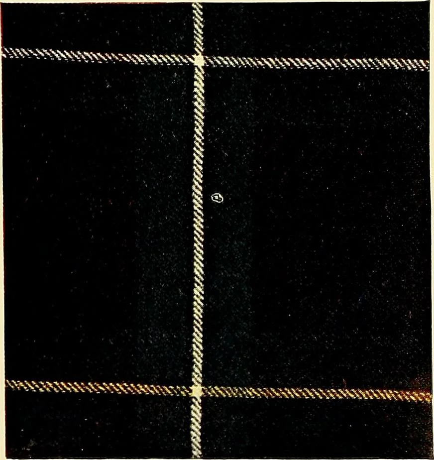 An illustration from The textile industries : a practical guide to fibres, yarns & fabrics in every branch of textile manufacture, including preparation of fibres, spinning, doubling, designing, weaving, bleaching, printing, dyeing and finishing, 1910, leaf 7