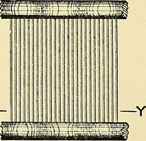 An illustration from The textile industries : a practical guide to fibres, yarns & fabrics in every branch of textile manufacture, including preparation of fibres, spinning, doubling, designing, weaving, bleaching, printing, dyeing and finishing, 1910, leaf 123