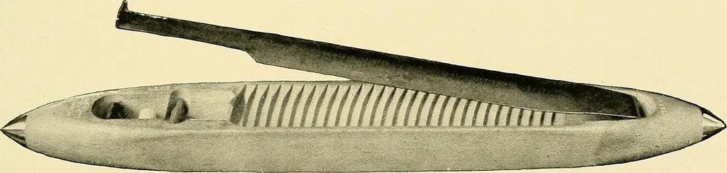 An illustration from The textile industries : a practical guide to fibres, yarns & fabrics in every branch of textile manufacture, including preparation of fibres, spinning, doubling, designing, weaving, bleaching, printing, dyeing and finishing, 1910, leaf 140