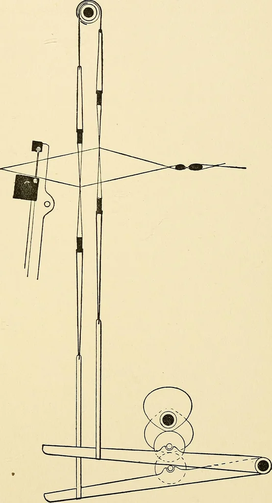 An illustration from The textile industries : a practical guide to fibres, yarns & fabrics in every branch of textile manufacture, including preparation of fibres, spinning, doubling, designing, weaving, bleaching, printing, dyeing and finishing, 1910, leaf 20