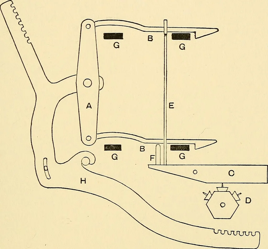 An illustration from The textile industries : a practical guide to fibres, yarns & fabrics in every branch of textile manufacture, including preparation of fibres, spinning, doubling, designing, weaving, bleaching, printing, dyeing and finishing, 1910, leaf 56