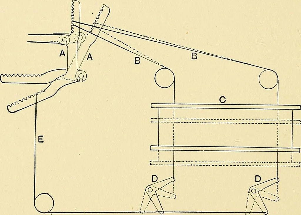 An illustration from The textile industries : a practical guide to fibres, yarns & fabrics in every branch of textile manufacture, including preparation of fibres, spinning, doubling, designing, weaving, bleaching, printing, dyeing and finishing, 1910, leaf 69