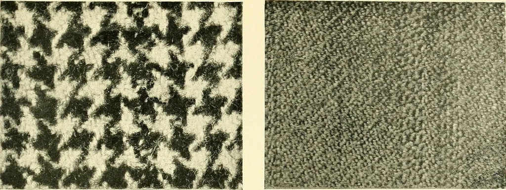 An illustration from The textile industries : a practical guide to fibres, yarns & fabrics in every branch of textile manufacture, including preparation of fibres, spinning, doubling, designing, weaving, bleaching, printing, dyeing and finishing, 1910, leaf 108