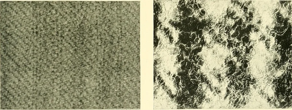 An illustration from The textile industries : a practical guide to fibres, yarns & fabrics in every branch of textile manufacture, including preparation of fibres, spinning, doubling, designing, weaving, bleaching, printing, dyeing and finishing, 1910, leaf 108