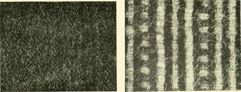 An illustration from The textile industries : a practical guide to fibres, yarns & fabrics in every branch of textile manufacture, including preparation of fibres, spinning, doubling, designing, weaving, bleaching, printing, dyeing and finishing, 1910, leaf 108