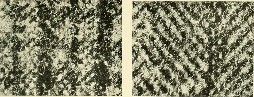 An illustration from The textile industries : a practical guide to fibres, yarns & fabrics in every branch of textile manufacture, including preparation of fibres, spinning, doubling, designing, weaving, bleaching, printing, dyeing and finishing, 1910, leaf 112