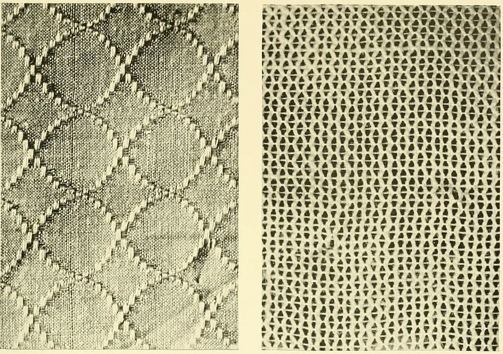 An illustration from The textile industries : a practical guide to fibres, yarns & fabrics in every branch of textile manufacture, including preparation of fibres, spinning, doubling, designing, weaving, bleaching, printing, dyeing and finishing, 1910, leaf 144