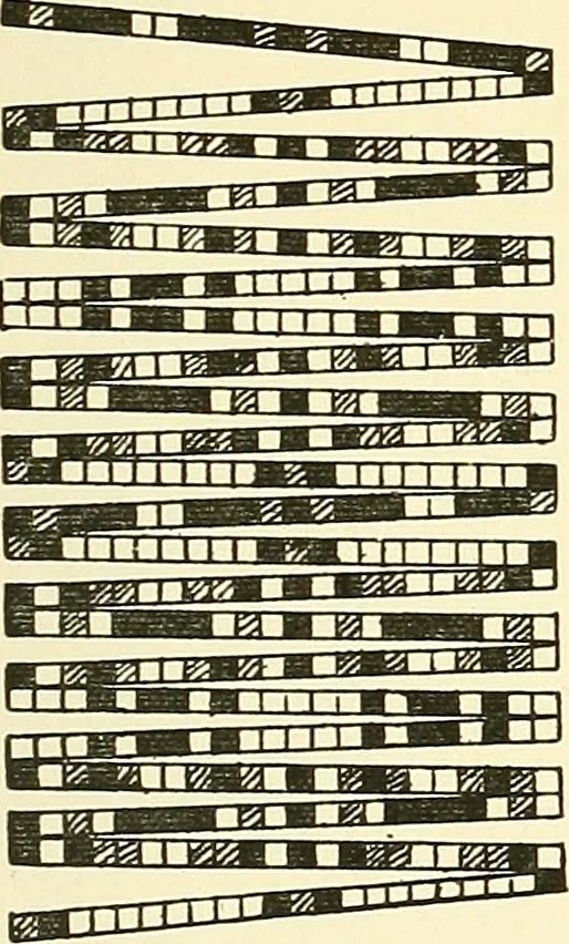 An illustration from The textile industries : a practical guide to fibres, yarns & fabrics in every branch of textile manufacture, including preparation of fibres, spinning, doubling, designing, weaving, bleaching, printing, dyeing and finishing, 1910, leaf 200