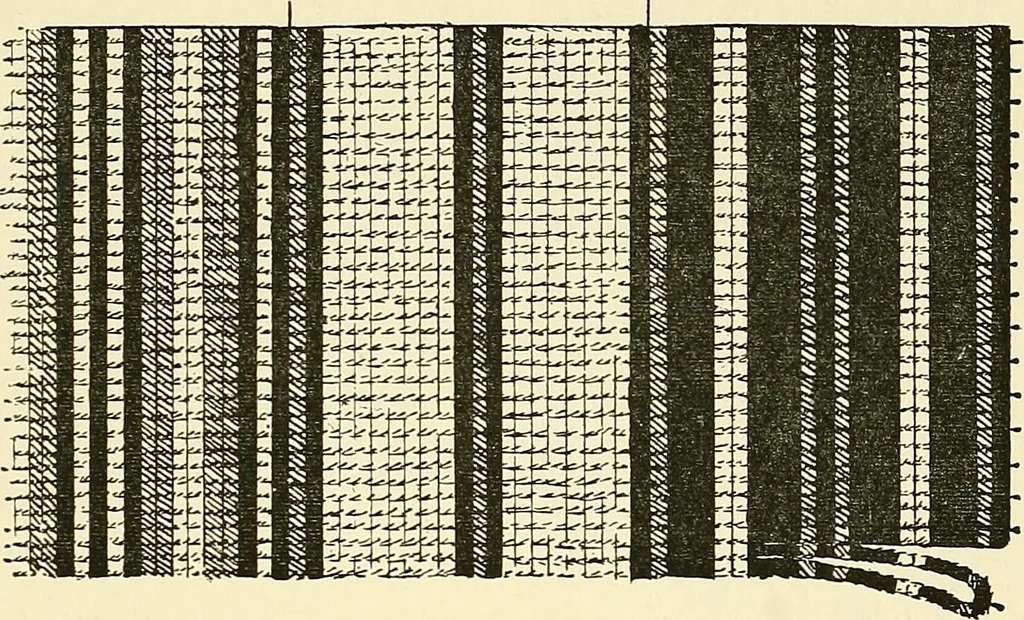 An illustration from The textile industries : a practical guide to fibres, yarns & fabrics in every branch of textile manufacture, including preparation of fibres, spinning, doubling, designing, weaving, bleaching, printing, dyeing and finishing, 1910, leaf 204