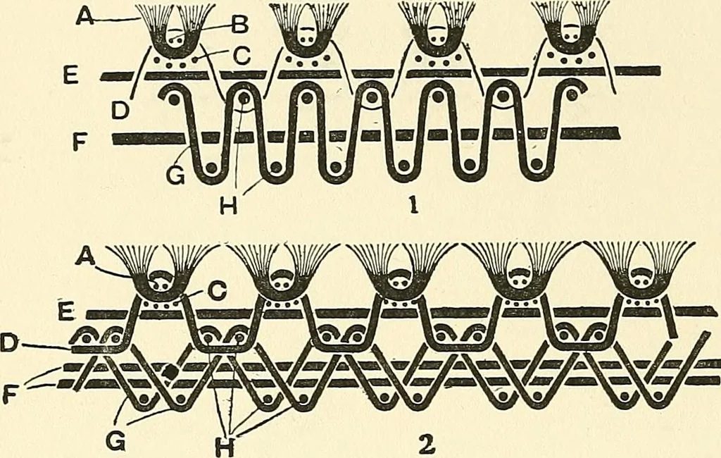An illustration from The textile industries : a practical guide to fibres, yarns & fabrics in every branch of textile manufacture, including preparation of fibres, spinning, doubling, designing, weaving, bleaching, printing, dyeing and finishing, 1910, leaf 205