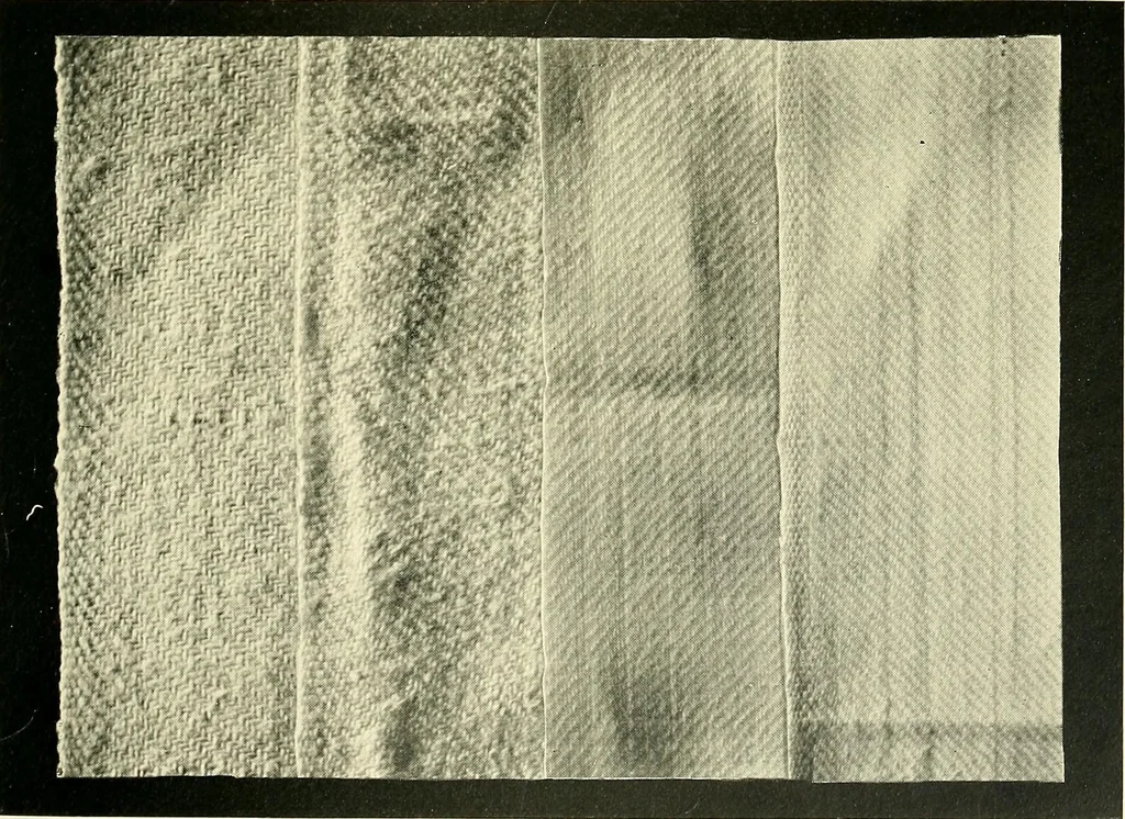 An illustration from The textile industries : a practical guide to fibres, yarns & fabrics in every branch of textile manufacture, including preparation of fibres, spinning, doubling, designing, weaving, bleaching, printing, dyeing and finishing, 1910, leaf 56
