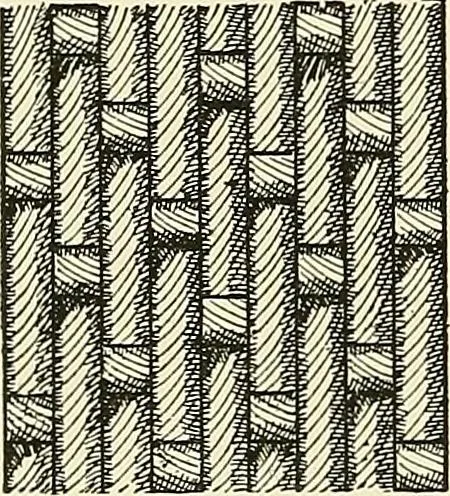 An illustration from The textile industries : a practical guide to fibres, yarns & fabrics in every branch of textile manufacture, including preparation of fibres, spinning, doubling, designing, weaving, bleaching, printing, dyeing and finishing, 1910, leaf 65