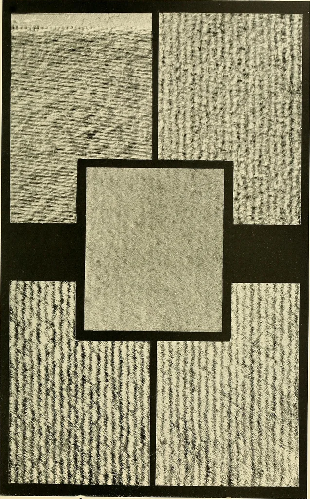 An illustration from The textile industries : a practical guide to fibres, yarns & fabrics in every branch of textile manufacture, including preparation of fibres, spinning, doubling, designing, weaving, bleaching, printing, dyeing and finishing, 1910, leaf 172