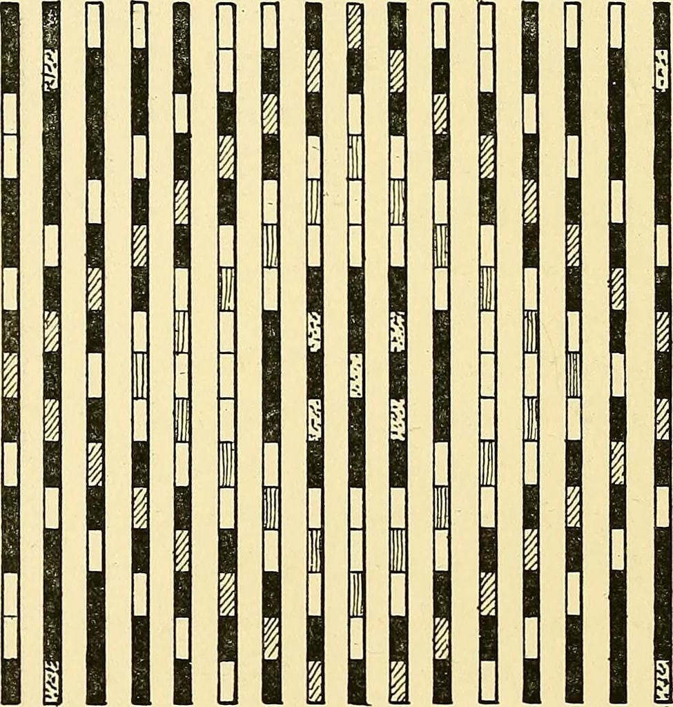 An illustration from The textile industries : a practical guide to fibres, yarns & fabrics in every branch of textile manufacture, including preparation of fibres, spinning, doubling, designing, weaving, bleaching, printing, dyeing and finishing, 1910, leaf 19