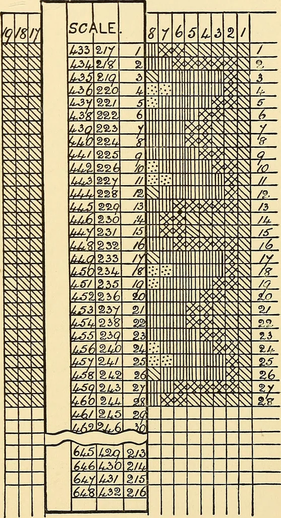 An illustration from The textile industries : a practical guide to fibres, yarns & fabrics in every branch of textile manufacture, including preparation of fibres, spinning, doubling, designing, weaving, bleaching, printing, dyeing and finishing, 1910, leaf 24