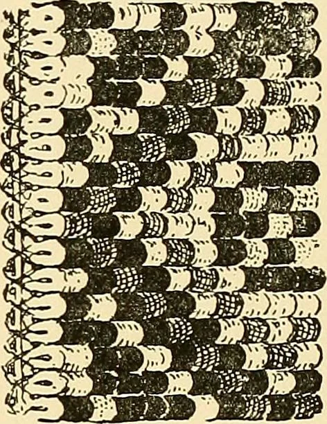 An illustration from The textile industries : a practical guide to fibres, yarns & fabrics in every branch of textile manufacture, including preparation of fibres, spinning, doubling, designing, weaving, bleaching, printing, dyeing and finishing, 1910, leaf 30