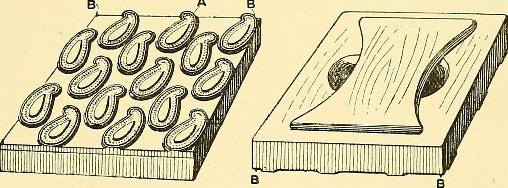 An illustration from The textile industries : a practical guide to fibres, yarns & fabrics in every branch of textile manufacture, including preparation of fibres, spinning, doubling, designing, weaving, bleaching, printing, dyeing and finishing, 1910, leaf 20