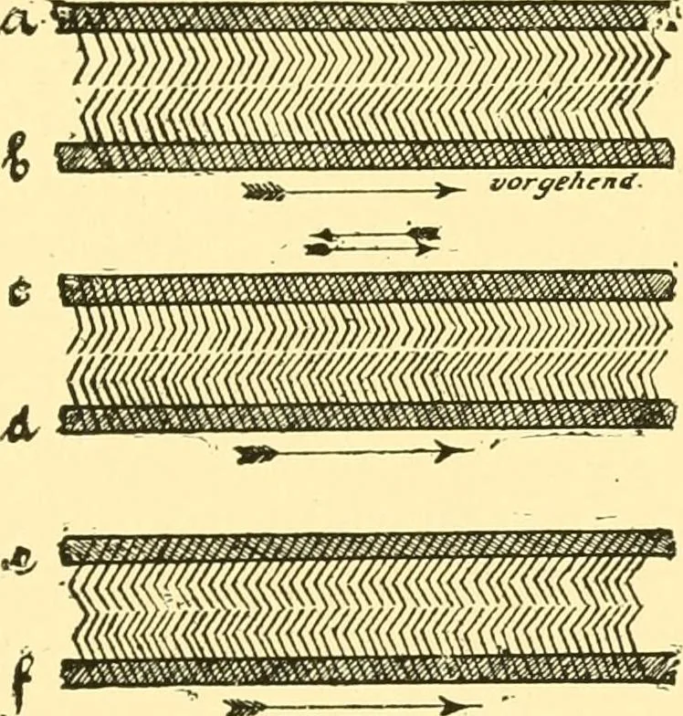 An illustration from Textile raw materials and their conversion into yarns : (the study of the raw materials and the technology of the spinning process) a text-book for textile, trade and higher technical schools, as also for self-instruction ; based upon the ordinary syllabus and curriculum of the Imperial and Royal Austrian weaving schools, 1901, leaf 156