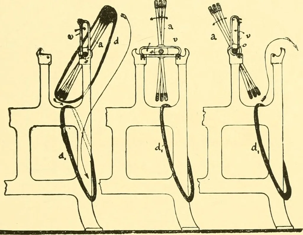 An illustration from Textile raw materials and their conversion into yarns : (the study of the raw materials and the technology of the spinning process) a text-book for textile, trade and higher technical schools, as also for self-instruction ; based upon the ordinary syllabus and curriculum of the Imperial and Royal Austrian weaving schools, 1901, leaf 210