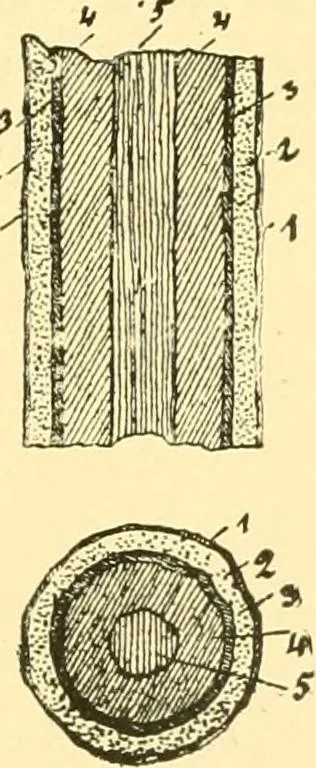 An illustration from Textile raw materials and their conversion into yarns : (the study of the raw materials and the technology of the spinning process) a text-book for textile, trade and higher technical schools, as also for self-instruction ; based upon the ordinary syllabus and curriculum of the Imperial and Royal Austrian weaving schools, 1901, leaf 26