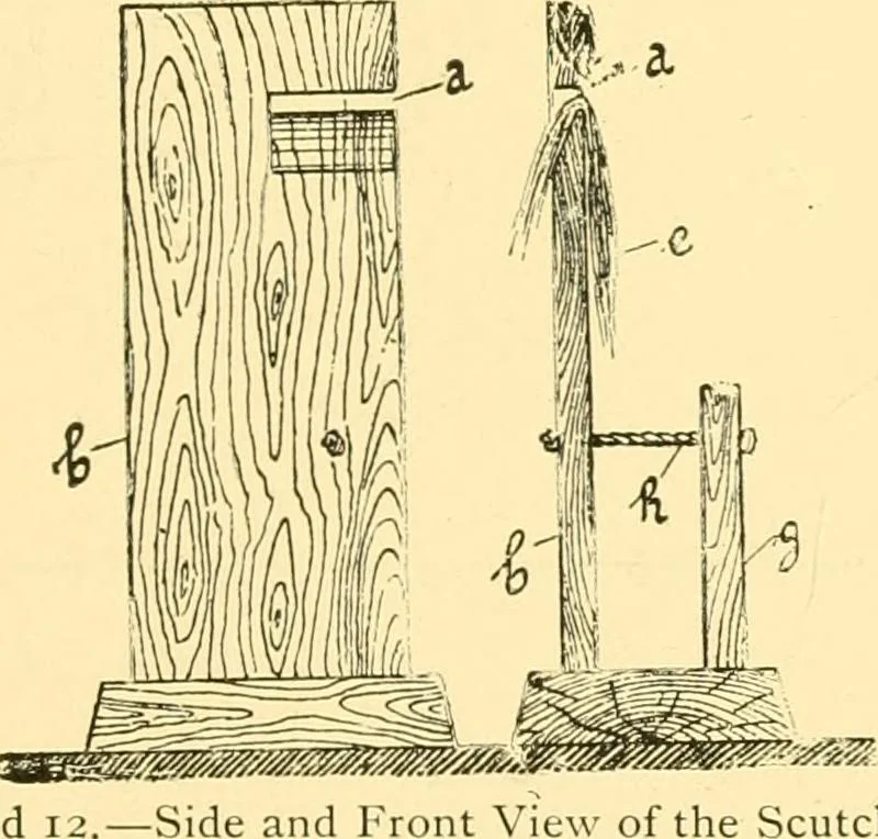 An illustration from Textile raw materials and their conversion into yarns : (the study of the raw materials and the technology of the spinning process) a text-book for textile, trade and higher technical schools, as also for self-instruction ; based upon the ordinary syllabus and curriculum of the Imperial and Royal Austrian weaving schools, 1901, leaf 32