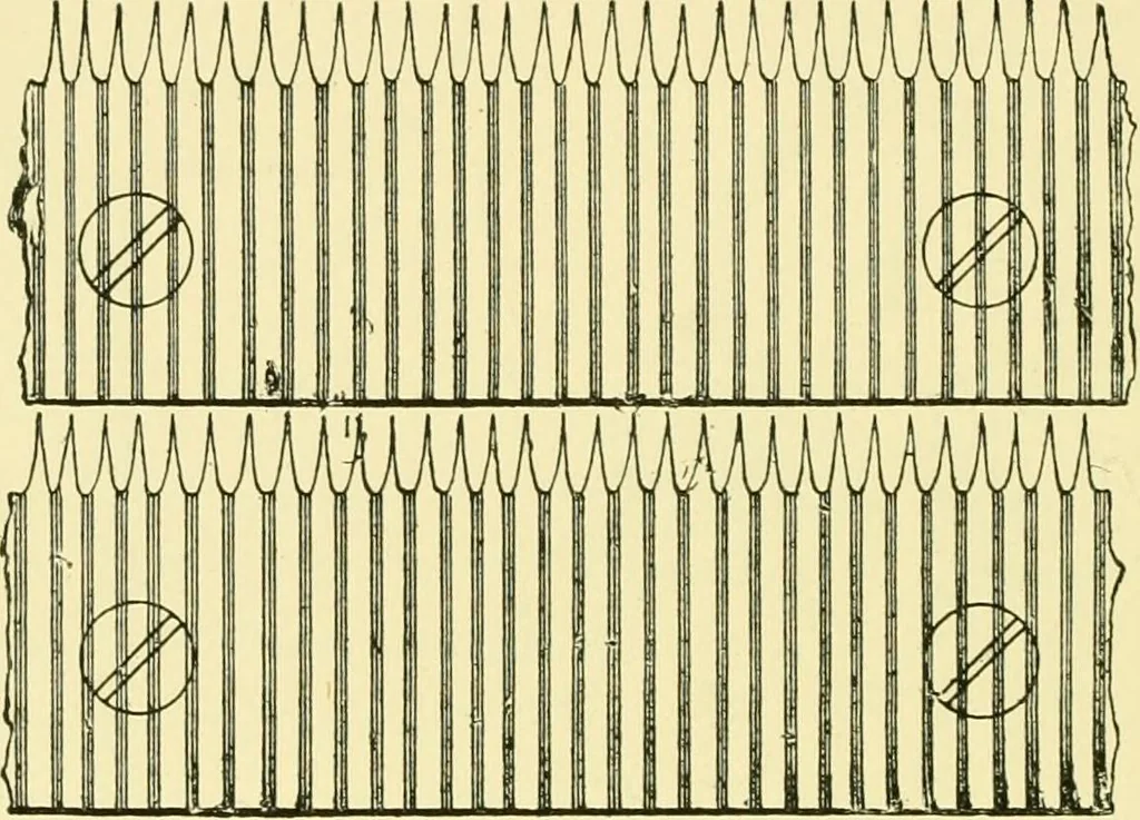 An illustration from Textile raw materials and their conversion into yarns : (the study of the raw materials and the technology of the spinning process) a text-book for textile, trade and higher technical schools, as also for self-instruction ; based upon the ordinary syllabus and curriculum of the Imperial and Royal Austrian weaving schools, 1901, leaf 329
