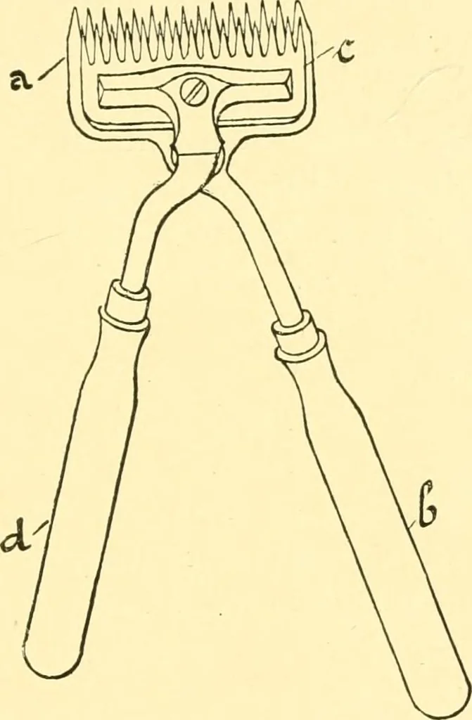 An illustration from Textile raw materials and their conversion into yarns : (the study of the raw materials and the technology of the spinning process) a text-book for textile, trade and higher technical schools, as also for self-instruction ; based upon the ordinary syllabus and curriculum of the Imperial and Royal Austrian weaving schools, 1901, leaf 82