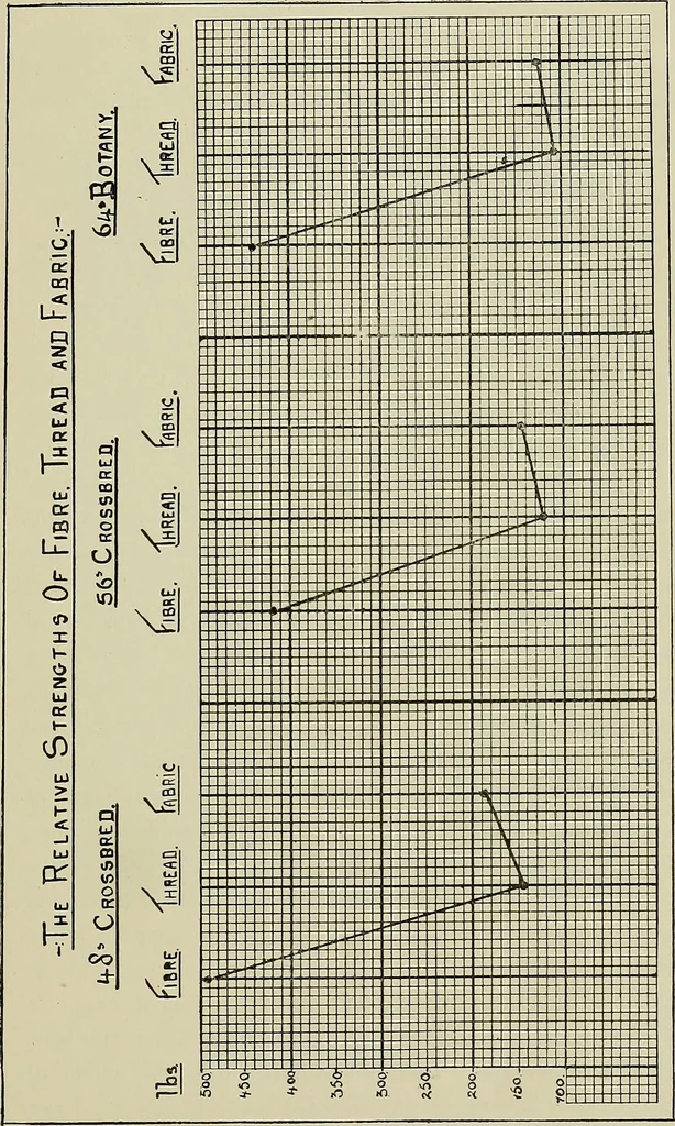 An illustration from Textiles, 1922, leaf 114
