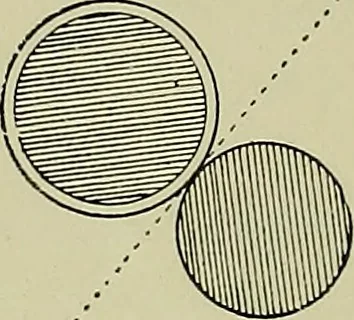 An illustration from Textiles, 1922, leaf 127