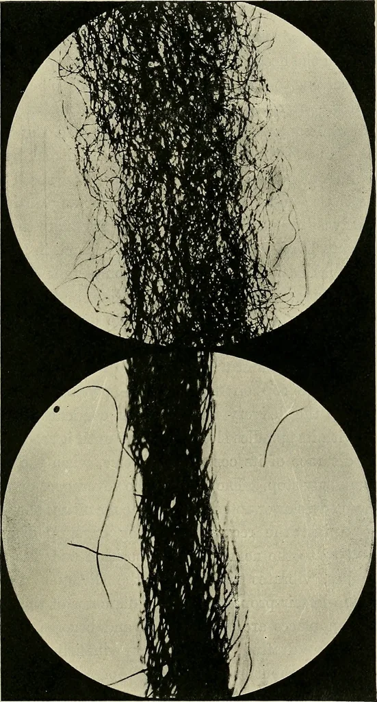 An illustration from Textiles, 1922, leaf 136