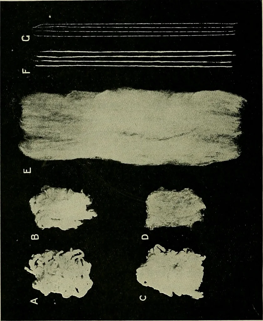 An illustration from Textiles, 1922, leaf 153