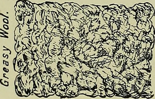 An illustration from Textiles, 1922, leaf 155