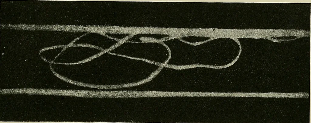 An illustration from Textiles, 1922, leaf 324
