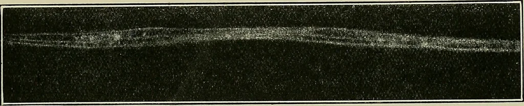 An illustration from Textiles, 1922, leaf 326