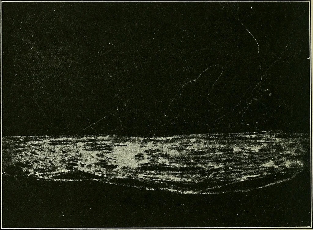 An illustration from Textiles, 1922, leaf 327